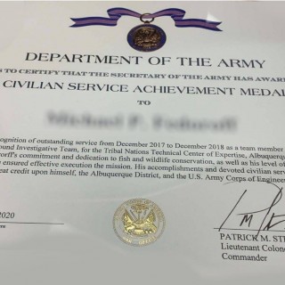 DA Form 5654. Civilian Service Achievement Medal
