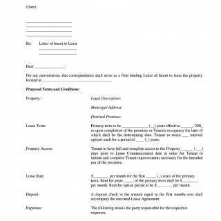 Letter Of Intent To Lease Template from blanker.org