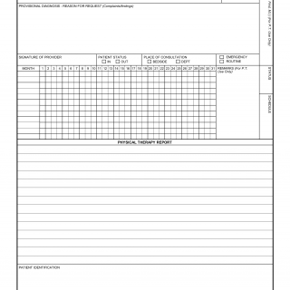 AF Form 1535 - Physical Therapy Consultation (Not Lra)