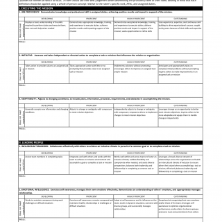 AF Form 724-A - Airman Comprehensive Assessment Addendum