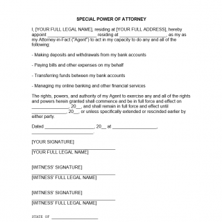Banking Power of Attorney Forms Docs 2023 Banking Power of Attorney Forms Docs 2023