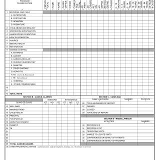 DA Form 3761. Public Health Nursing Activities Report