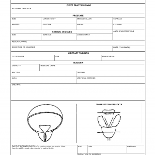 DA Form 3824. Urologic Examination
