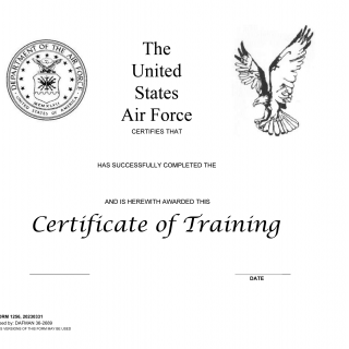 DAF Form 1256 - Certificate of Training (LRA)