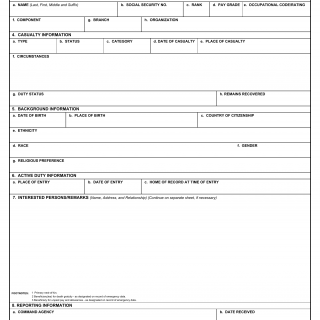DD Form 1300. Report of Casualty