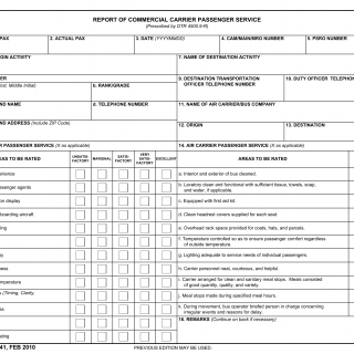 DD Form 1341. Report of Commercial Carrier Passenger Service