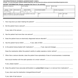 Form DL-121. Seizure Reporting Form