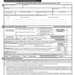 Form DL-31CD. Commercial Learner’s Permit Application