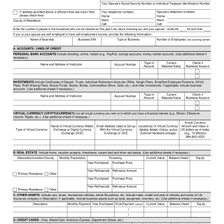 IRS Form 433-F. Collection Information Statement