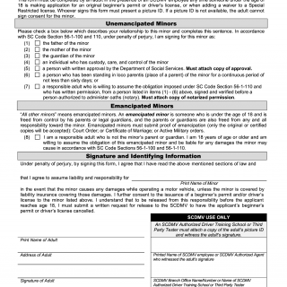 SCDMV Form 447-CM. Consent for Minor