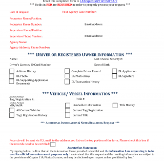 Form HSMV 73209. Criminal Justice Information Request form - Florida