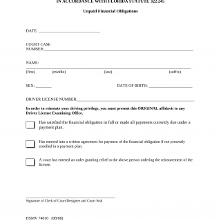 Form HSMV 74010. Court Authority to Reinstate (Failure to meet financial obligations suspension) - Florida