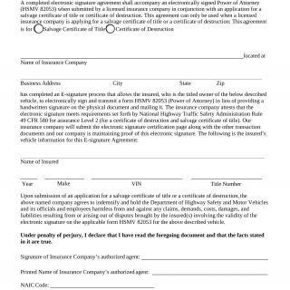 Form HSMV 82052. Electronic Signature Agreement - Florida