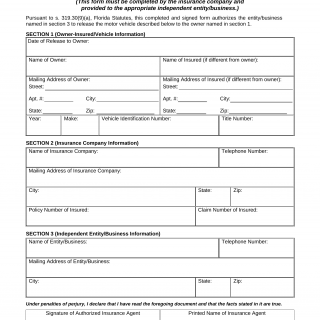 Form HSMV 82089. Insurance Company Motor Vehicle Release Statement - Florida