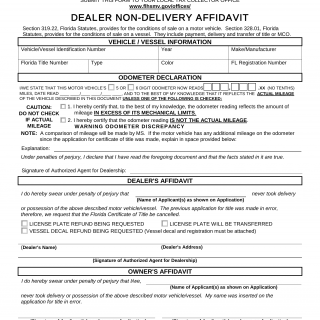 Form HSMV 82175. Dealer Non-Delivery Affidavit - Florida