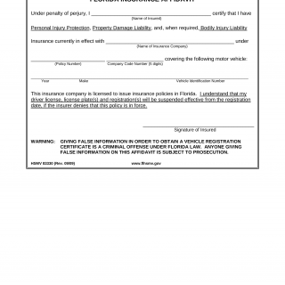 Form HSMV 83330. Florida Insurance Affidavit - Florida