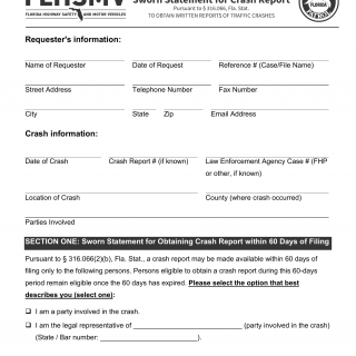 Form HSMV 94010-ADA. Sworn Statement for Crash Report (Accessible) - Florida