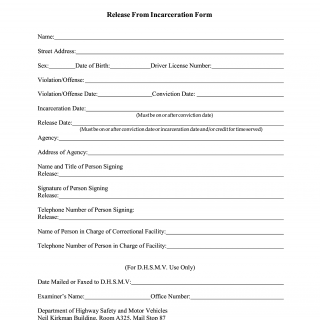 Form HSMV 72077. Release From Incarceration Form