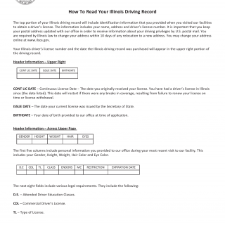 Form DSD A 320. How To Read Your Driving Record - Illinois