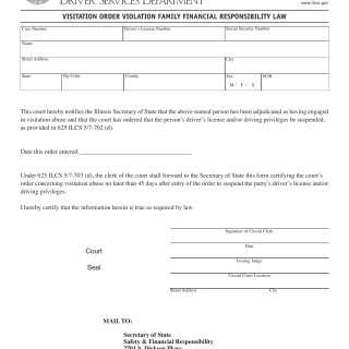 Form DSD FR 10. Visitation Order Violation Family Financial Responsibility Law - Illinois