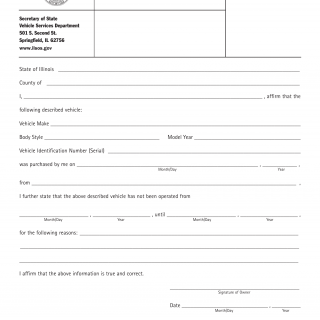 Form VSD 2. Delayed Registration Affirmation - Illinois