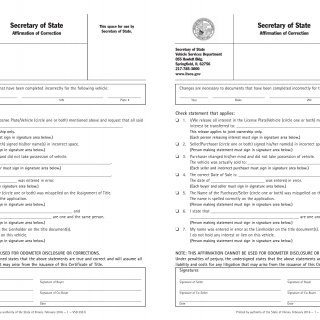 Form VSD 393. Affirmation of Correction - Illinois