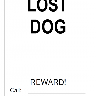 Lost Dog Poster & Missing Dog Flyer Template — Free Printable PDF