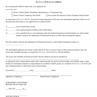 GA DMV Form Motor Vehicle Affidavit for Citizenship Verification