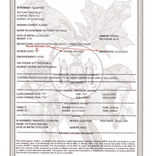 NYS DMV Form DS-242.3. Description of Abstract of Lifetime Driving Record