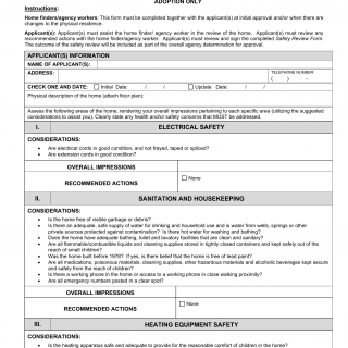 OCFS-5200E. Safety Review Form - Adoption Only