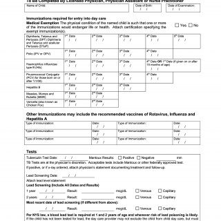 Ocfs Ldss 4433 Child In Care Medical Statement Forms Docs 2023 Ocfs Ldss 4433 Child In Care Medical Statement Forms Docs 2023