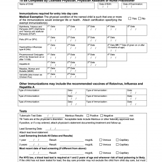 OCFS-LDSS-4433. Child in Care Medical Statement