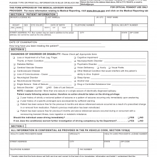 PA DOT Form DL-13. Initial Reporting Form