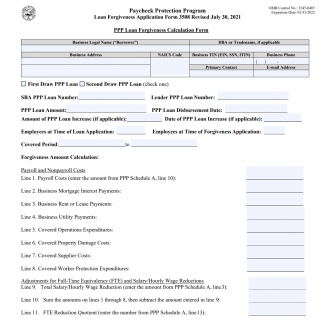 SBA Form PPP Loan Forgiveness Application