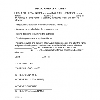 Probate Power of Attorney Forms Docs 2023 Probate Power of Attorney Forms Docs 2023