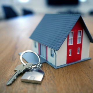 Rent or Lease terms 