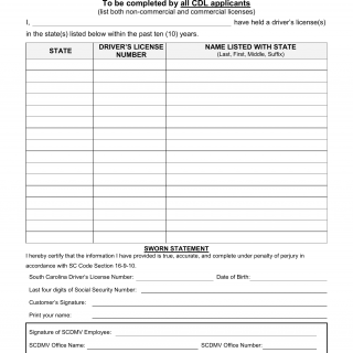 SCDMV Form DL-402. Affidavit of Previous Driver's License
