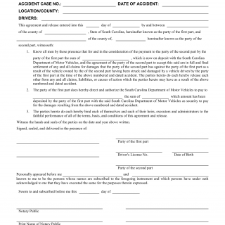 SCDMV Form FR-229. Financial Responsiblity Agreement and Release