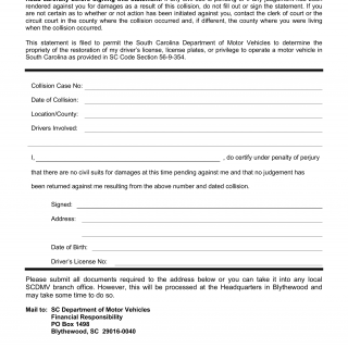 SCDMV Form FR-28. Statement for Restoration of Privileges