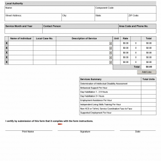 TX HHS Form 1048. Summary Sheet for Services to Individuals with IDD in a Nursing Facility