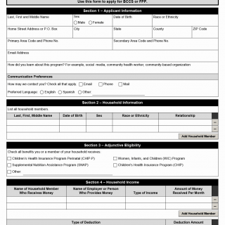 TX HHS Form 1065. Breast and Cervical Cancer Services (BCCS) Program or Family Planning Program (FPP) Eligibility Application