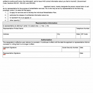 TX HHS Form 1487. Designation of Representative