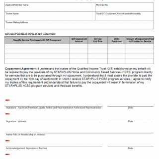 TX HHS Form 1578. Qualified Income Trust (QIT) Copayment Agreement