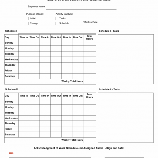 TX HHS Form 1731. Employee Work Schedule and Assigned Tasks