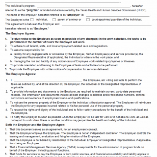 TX HHS Form 1737. Employer and Employee Service Agreement