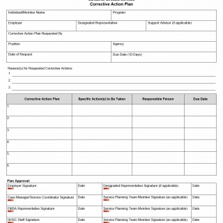 TX HHS Form 1741. Corrective Action Plan TX HHS Form 1741. Corrective Action Plan