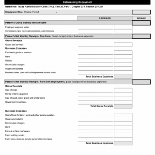TX HHS Form 2040. CMPAS Copay Worksheet