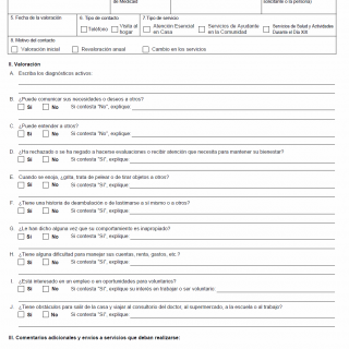 TX HHS Form 2060-B. Needs Assessment Addendum