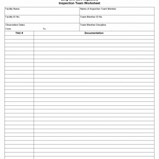 TX HHS Form 2380. Inspection Team Worksheet