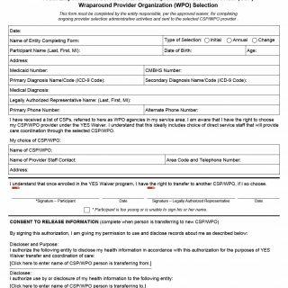 TX HHS Form 2805. Youth Empowerment Services Waiver - Comprehensive Service Provider (CSP) and Wraparound Provider Organization (WPO) Selection